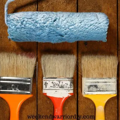 Paint roller and brushes